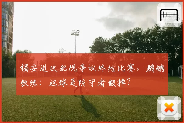 锡安进攻犯规争议终结比赛,鹈鹕教练:这球是防守者假摔?
