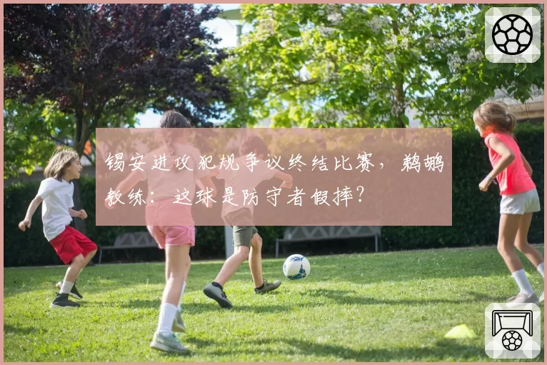 锡安进攻犯规争议终结比赛,鹈鹕教练:这球是防守者假摔?
