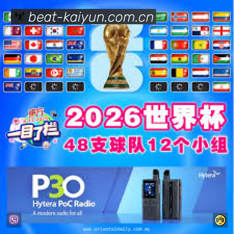 开云安全价值